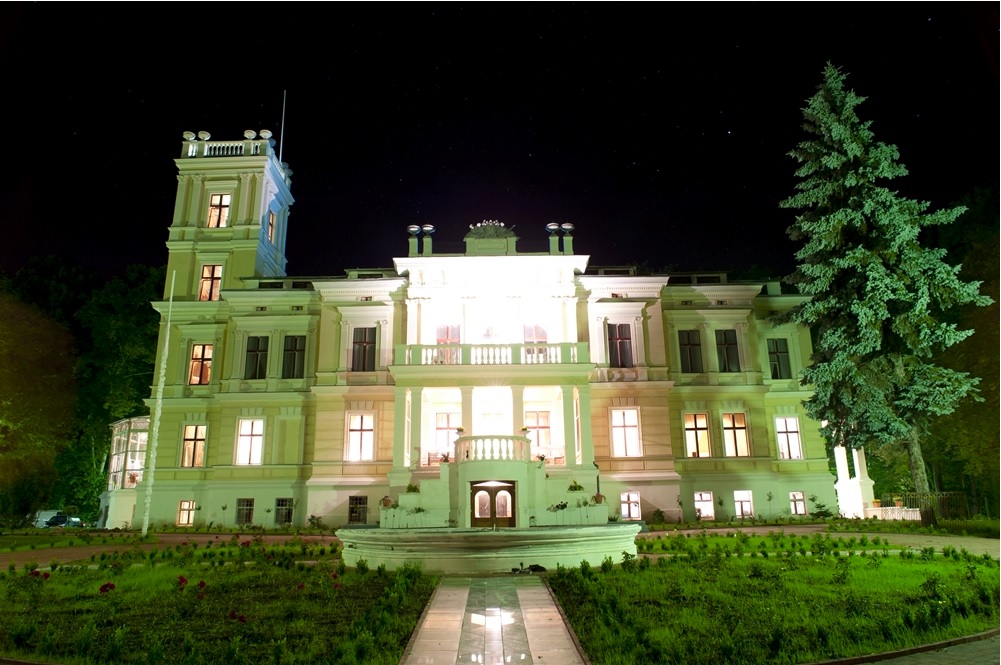 Biedrusko - Pałac